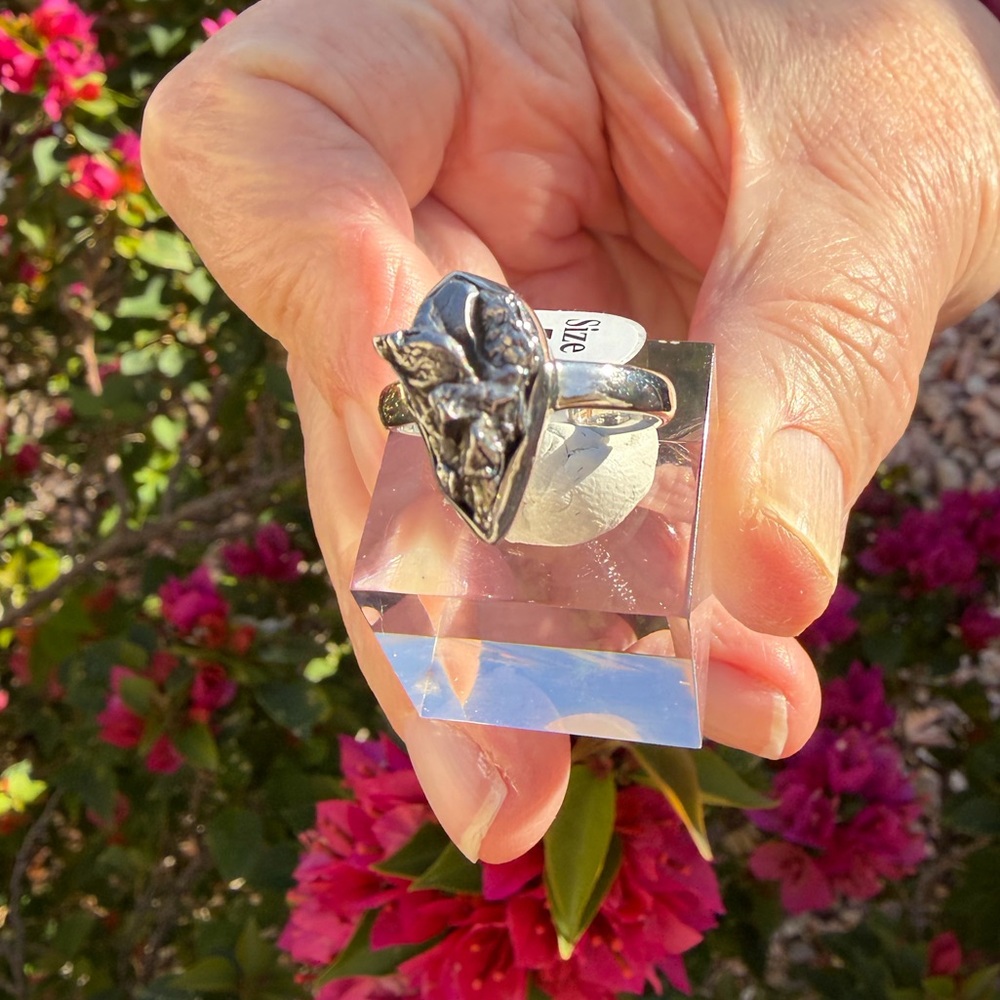 Campo del Cielo Meteorite Ring - Picture 7 of 9